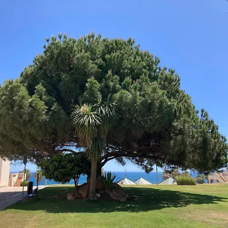 Beautiful Sea View Close To Dona Ana